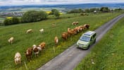 VW Caddy Californa, Praxis Test 2021
