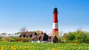 Roadtrip Pellworm Nordsee