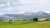 Camino Francés