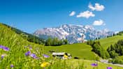 Campingplatz-Archiv Salzburger Land