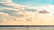 Von Hamburg ans Meer 