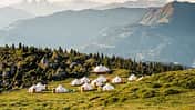 Glamping-Dorf in den Alpen