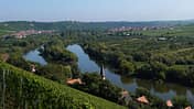 Weinfranken