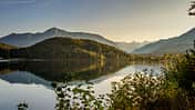 Steiermark