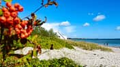 Campingplatz Jutland Strand