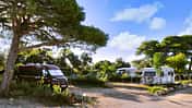 Camping Ugljan Resort Kroatien