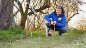 Hering, Zugtest, Vorzelt Zeltheringe Test f