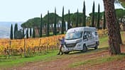 Dauertestabschluss Malibu Reisemobil zwischen Weinreben