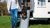 Reisen mit Hund Rampe