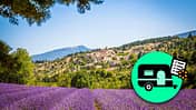 Lavendelfeld in der Provence.