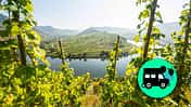 Mosel