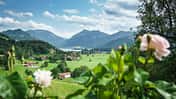 Urlaub auf dem Bauernhof