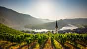 Moselschleife, Rheinland-Pfalz, Mosel, Weinberg, Bremm, Kirche