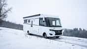 Frankia Platin Pure (2024)