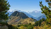 Bergpanorama, NadelbŠume, Himmel Bergpanorama, NadelbŠume, Himmel