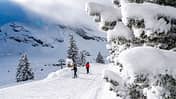 Skigebiet, Winterlandschaft, Skifahrer, NadelbŠume