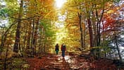 Wandern im Herbst in Deutschland