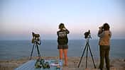 Birdwatching Portugal f