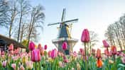 Reise Niedelande Lisse i