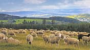 Reise Vogelsberg Naturpark f