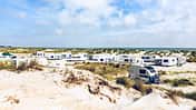 Campingplatz Prerow Ostsee in den Dünen