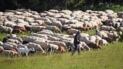 Schwaebische Alb  Ausflugf
