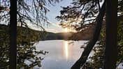 Edersee, Bäume, Sonnenuntergang