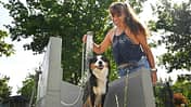 Falkensteinsee Dusche, Hund