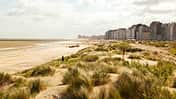 Waterfront, dunes and beach near Zeebrugge
