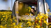 Camping, Frühling, Blumen, Campervan