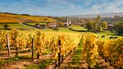 Frankreich, Südwestfrankreich, E62, Côte d’Argent, Stellplatz Fokus, Stellplätze, Moulins, Auvergne-Rhônes-Alpes