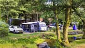 Camping Sunêlia Domaine de Champé