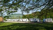 Stellplätze, Wohnmobile, Bäume, Wiese, Camping