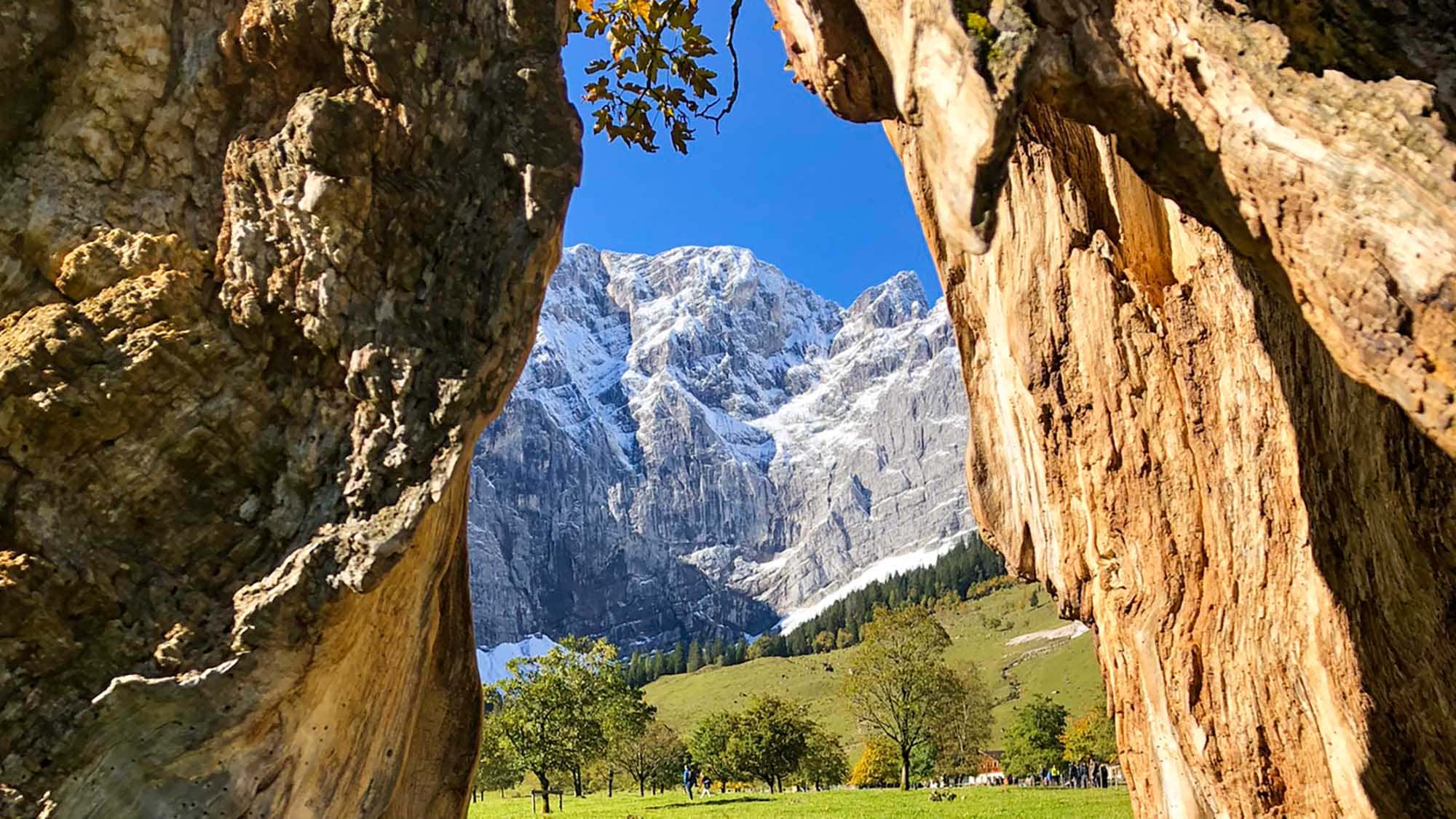 Herbstidylle am Berg: Alpen-Camping Arzbach in Bayern