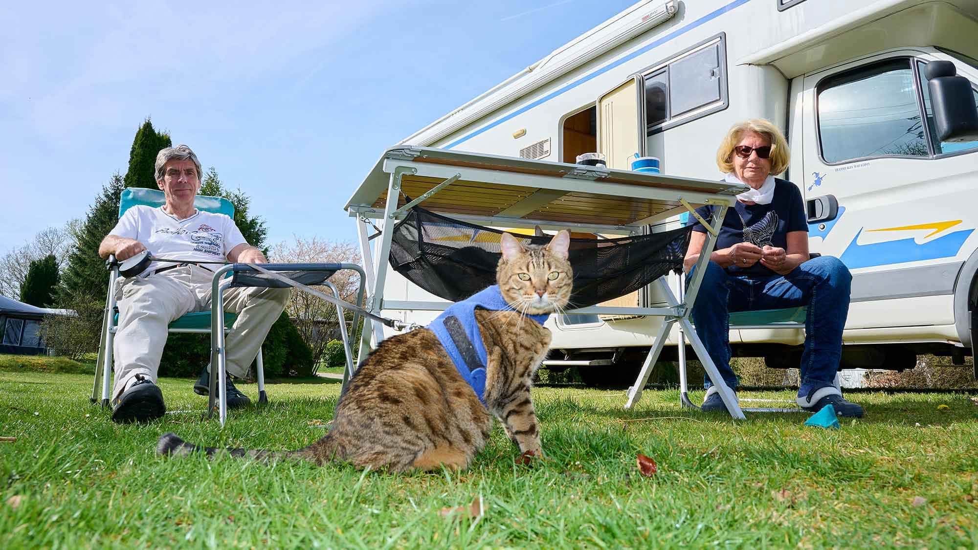 Das Katzen-Wohnmobil: Umgebauter Concorde fr Campingurlaub mit Katzen